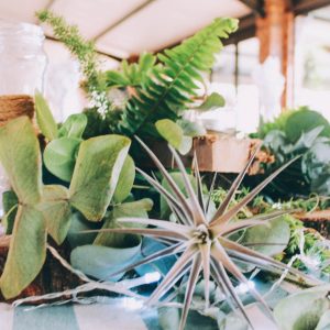 Torwoodlea_Events-11