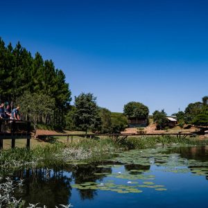 Torwoodlea_Scenery-11