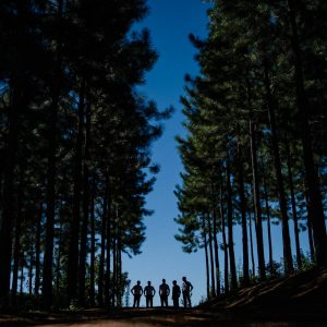 Torwoodlea_Scenery-12