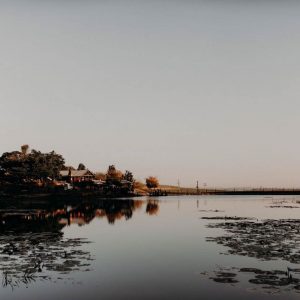 Torwoodlea_Scenery-33